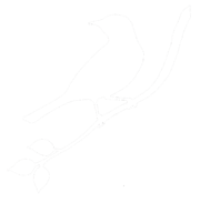 white logo